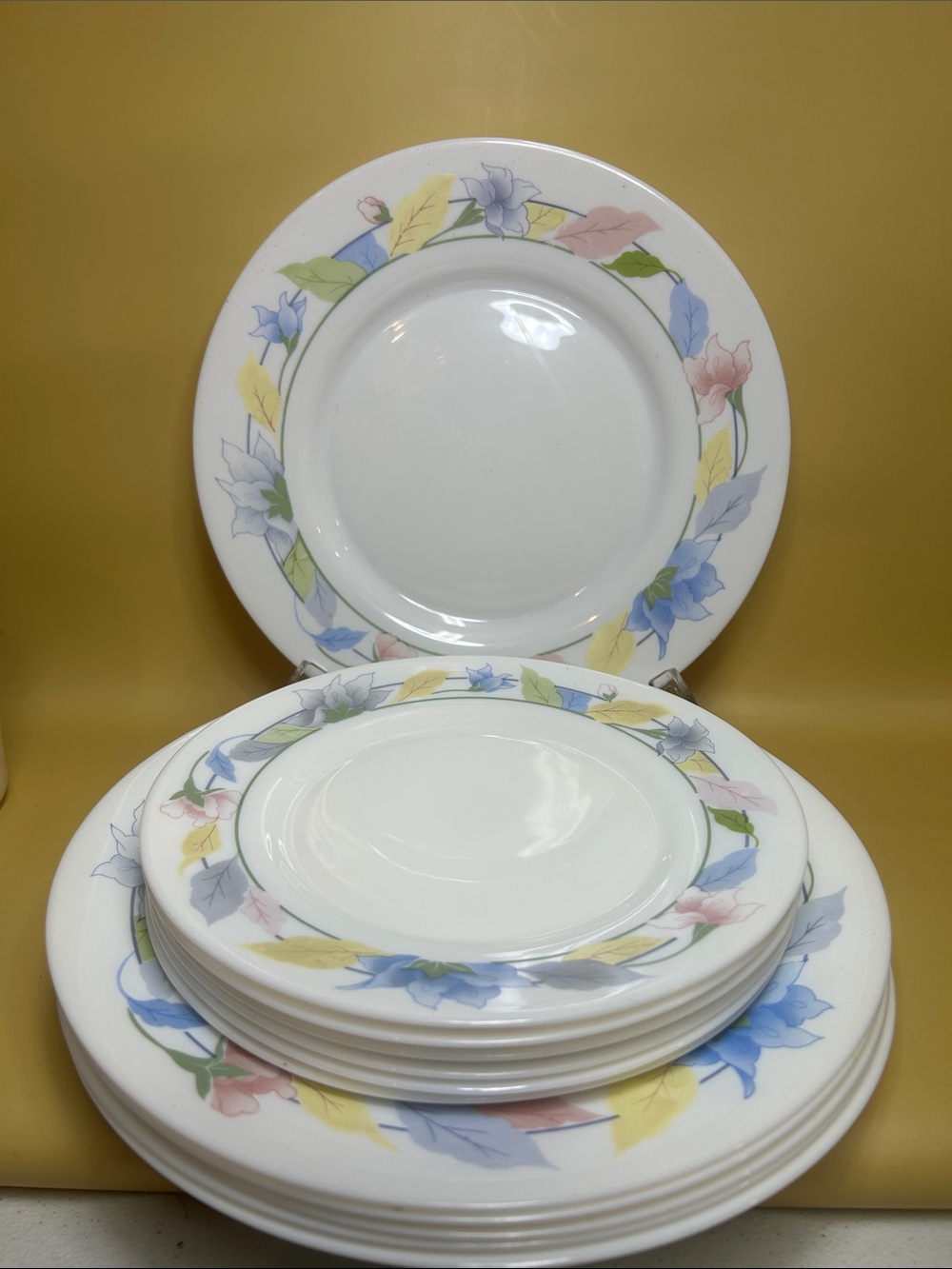 ARCOPAL France Floral Border Dinnerware set of 12 pcs